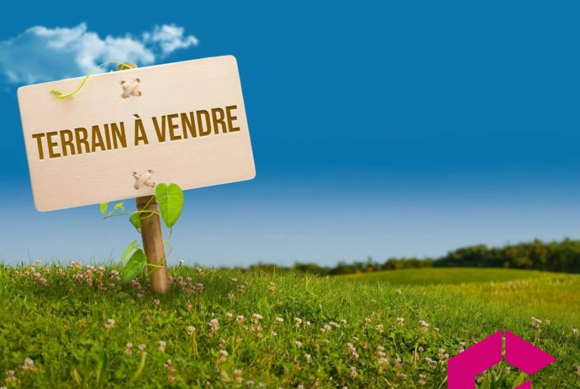 Terrain constructible de 2500 m² à Saint-Pal-de-Chalencon avec vue dégagée 