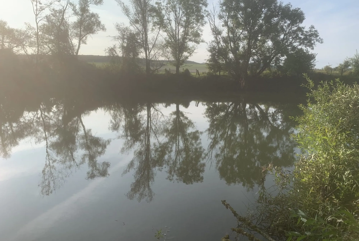 Terrain de loisir 865 m² en bord de Meuse à Ugny-sur-Meuse 