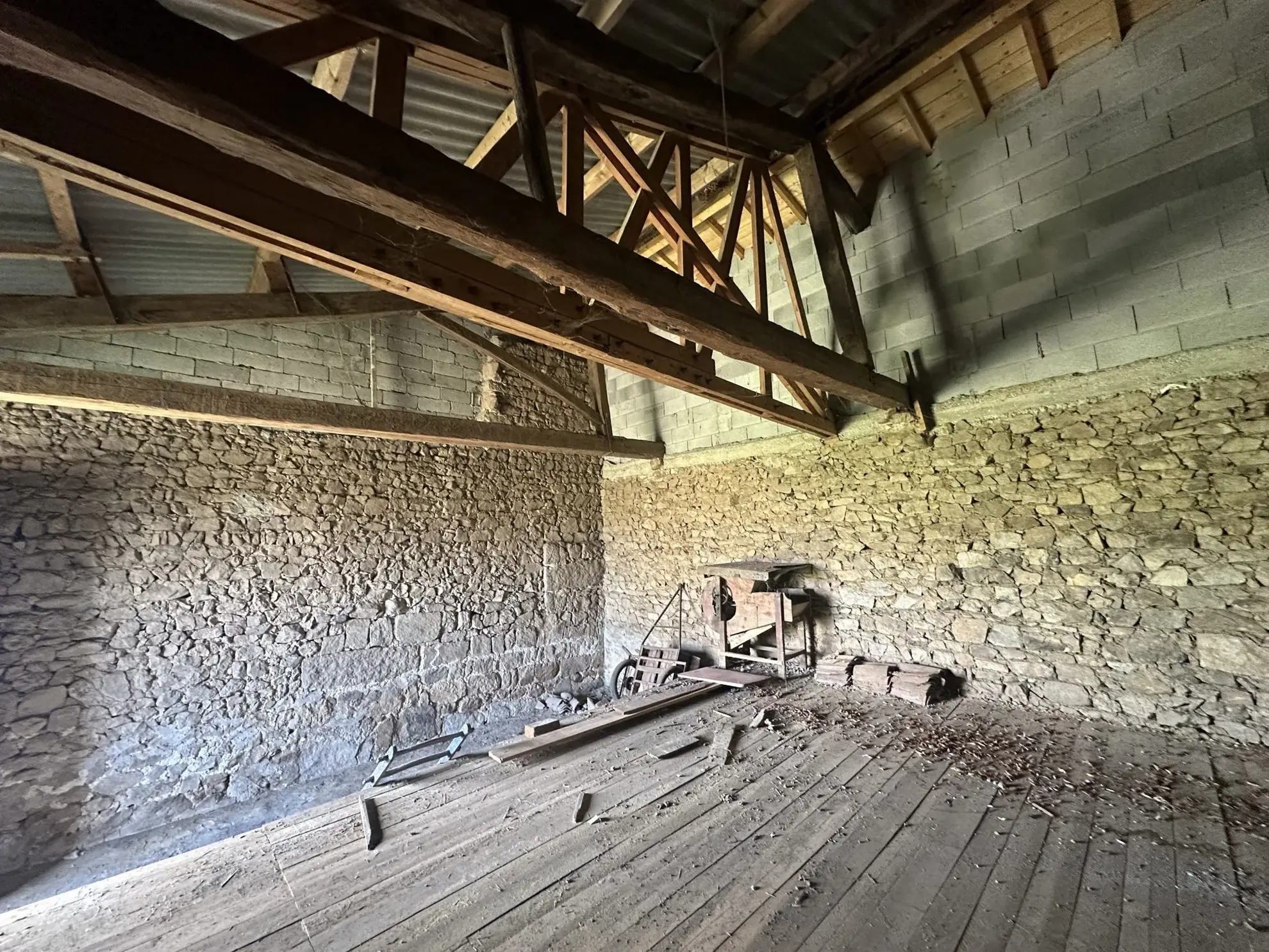 Maison à rénover avec grange à Perigneux - Charmant potentiel architectural 