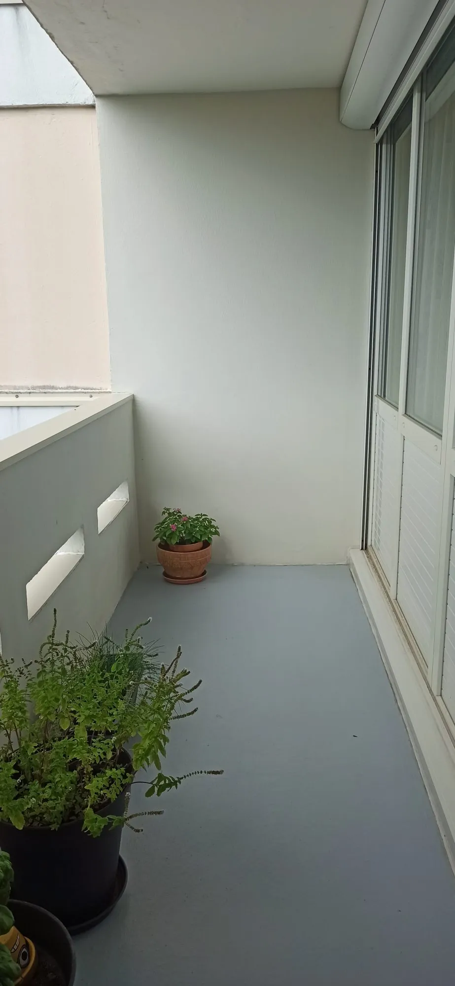 Bel appartement T3 bis à vendre à Carbon-Blanc, proche tramway, sans travaux à prévoir 