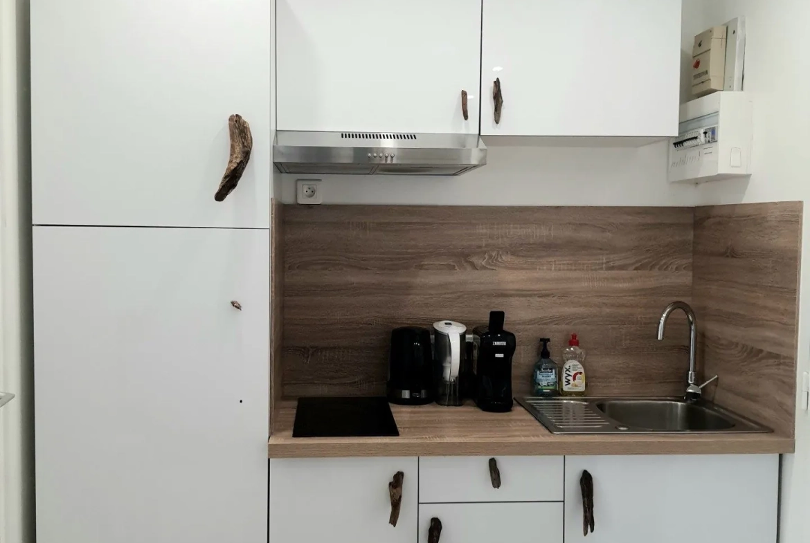 Appartement rénové avec terrasse et parking à Gruissan 