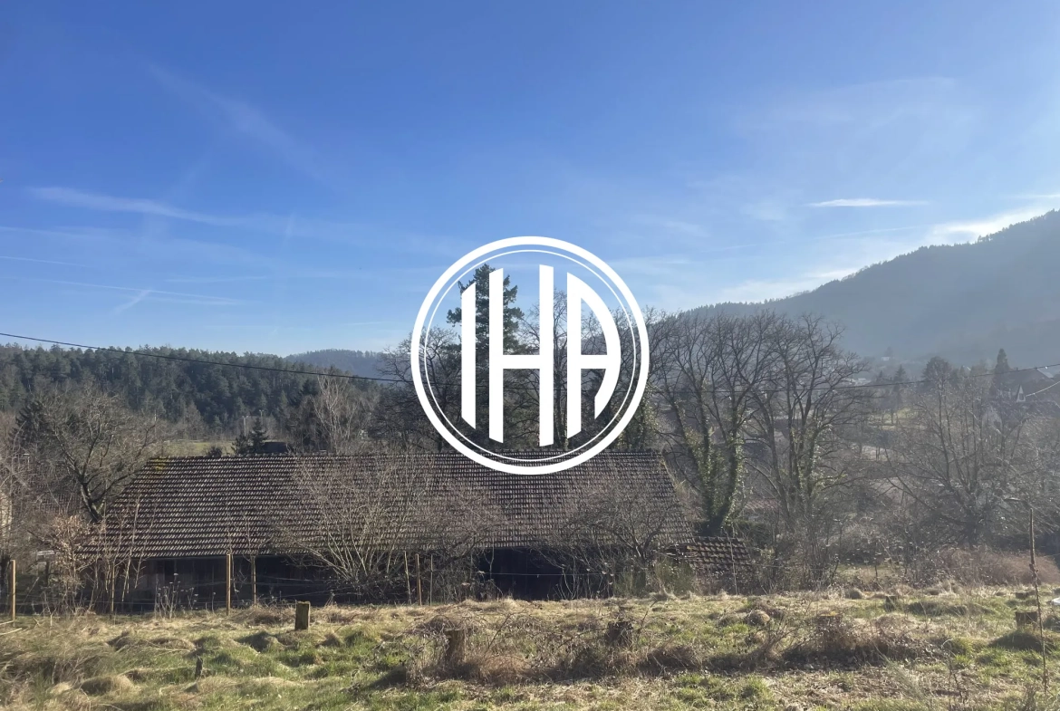 Terrain constructible à Thannenkirch avec vue imprenable et environnement naturel 