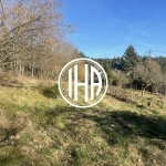 Terrain constructible à Thannenkirch avec vue imprenable et environnement naturel