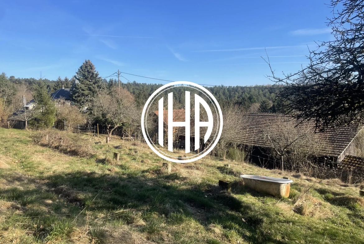 Terrain constructible à Thannenkirch avec vue imprenable et environnement naturel 