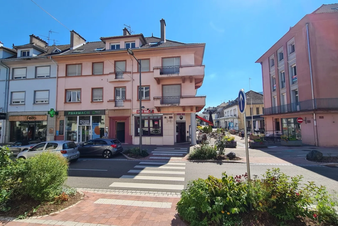 Appartement lumineux de 174,64 m² en centre-ville de Saint-Dié-des-Vosges avec balcon et cave 