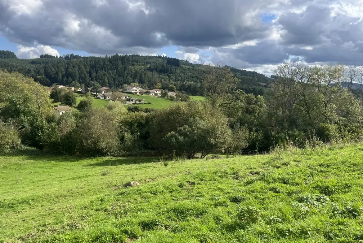 Terrain constructible de 2219 m² à Poule-les-Écharmeaux avec vue dégagée 