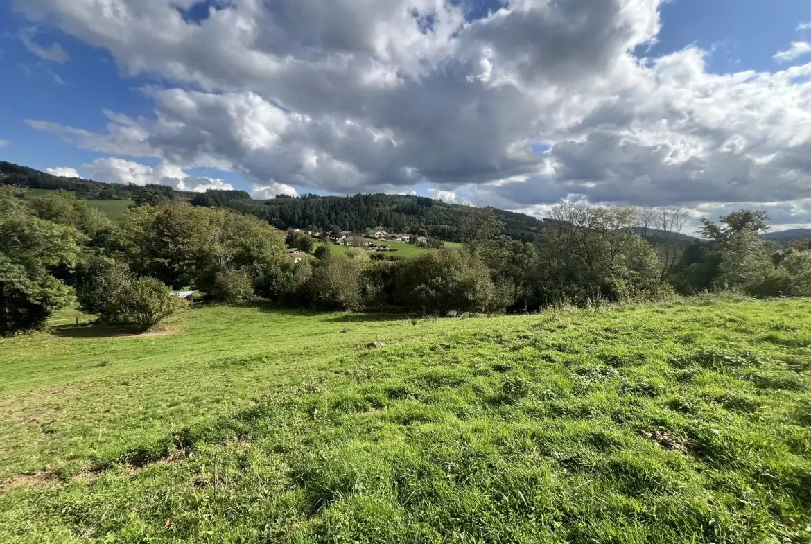 Terrain constructible de 2219 m² à Poule-les-Écharmeaux avec vue dégagée 