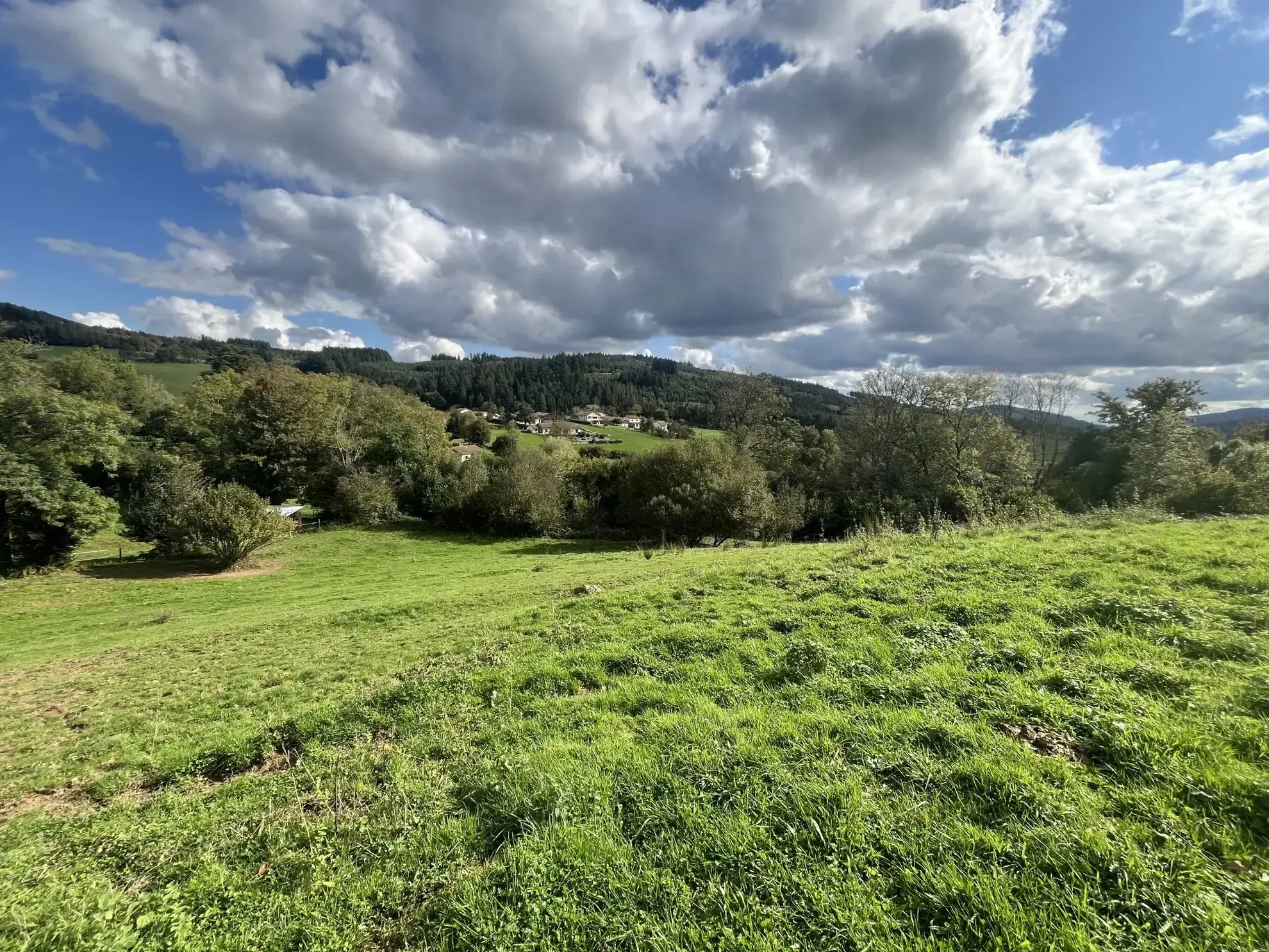 Terrain constructible de 2219 m² à Poule-les-Écharmeaux avec vue dégagée 