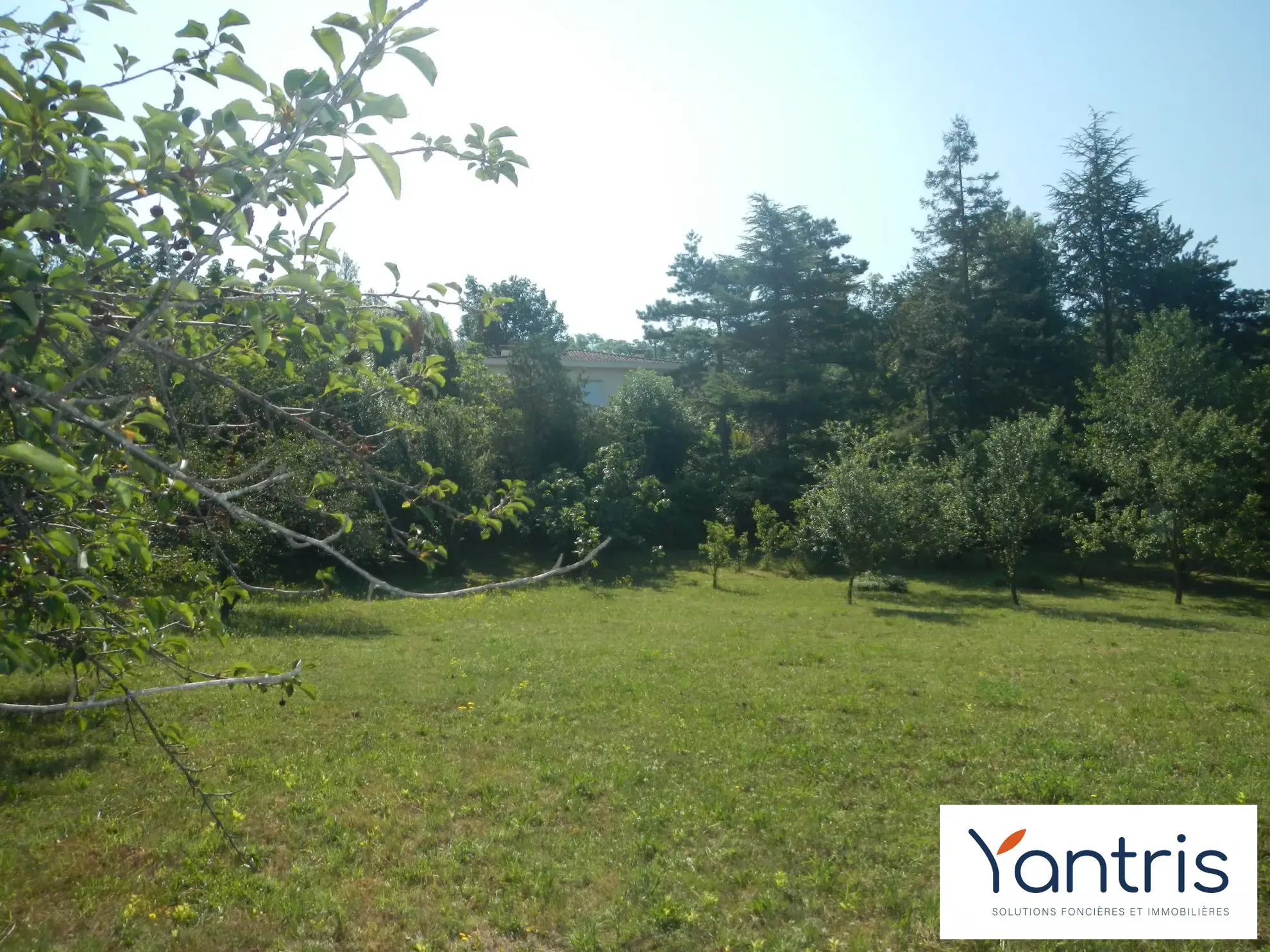 Terrain viabilisé à vendre à Muret - Quartier du Barry 