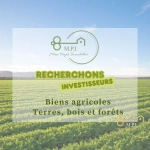 Terrain agricole à vendre à Yerville (76760) pour investissement et projet forestier ou agricole