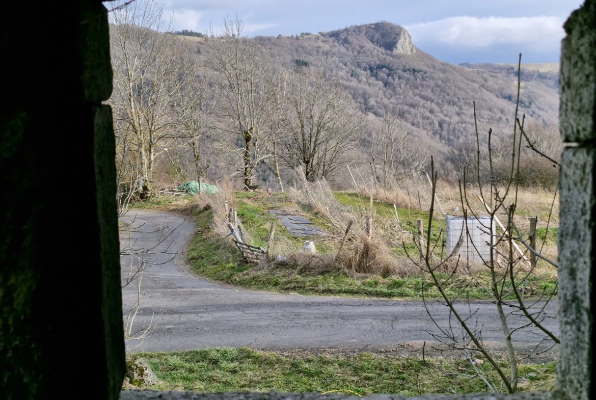 Ferme authentique à Besse-et-Saint-Anastaise avec grand terrain et potentiel de rénovation 