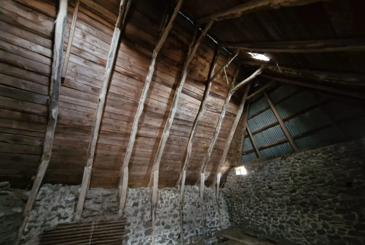 Ferme authentique à Besse-et-Saint-Anastaise avec grand terrain et potentiel de rénovation 