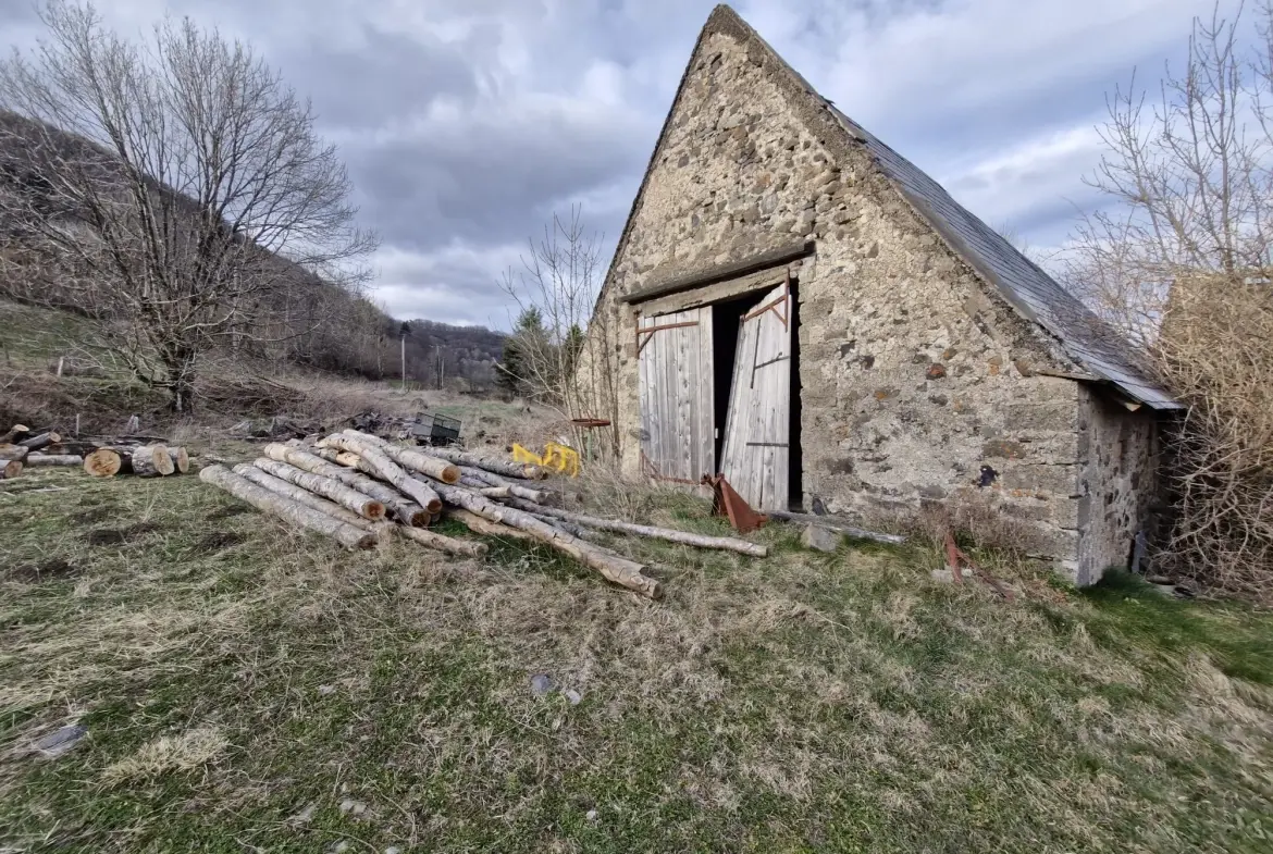 Ferme authentique à Besse-et-Saint-Anastaise avec grand terrain et potentiel de rénovation 