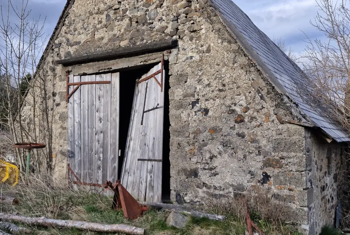 Ferme authentique à Besse-et-Saint-Anastaise avec grand terrain et potentiel de rénovation 