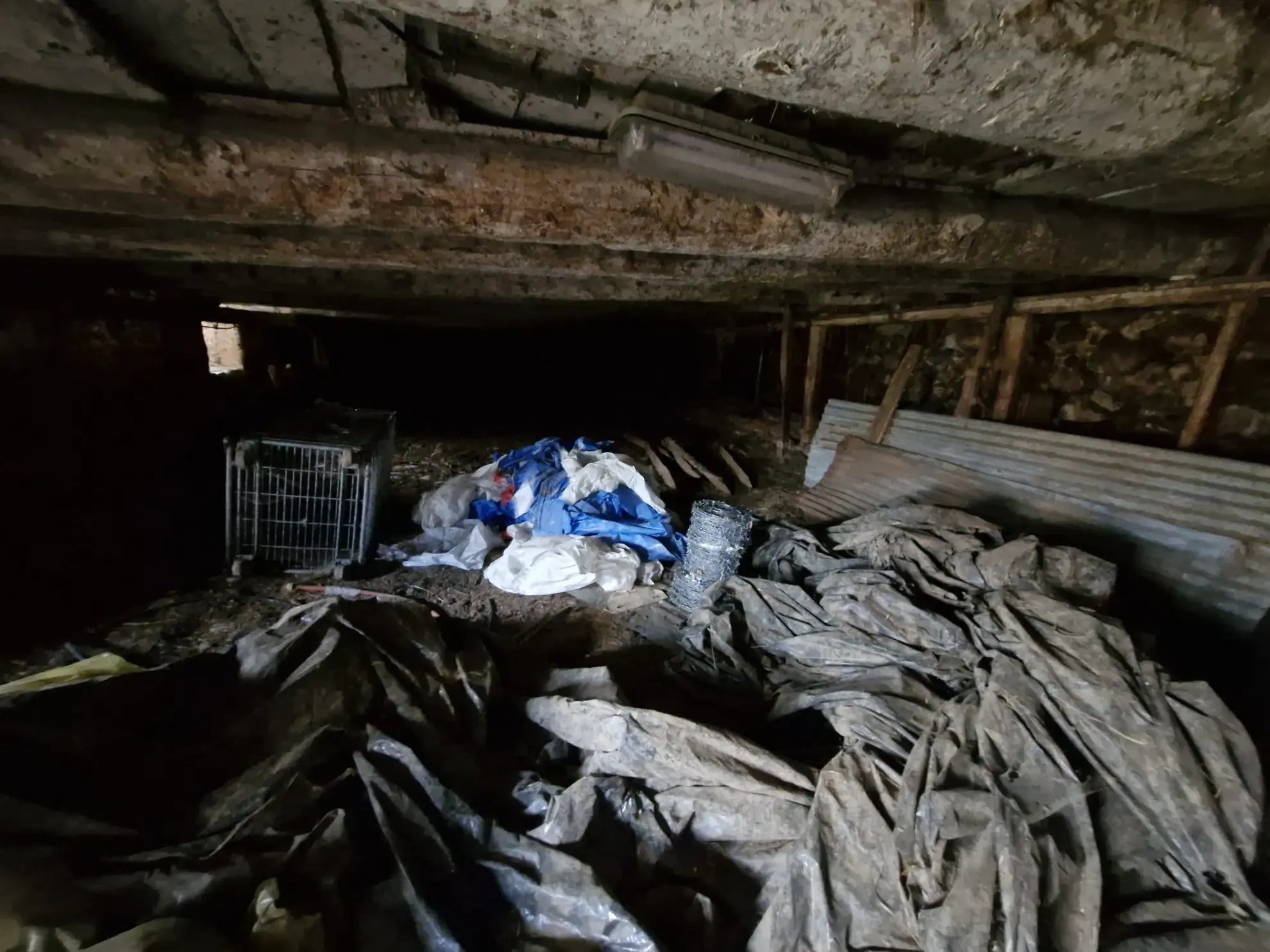 Ferme authentique à Besse-et-Saint-Anastaise avec grand terrain et potentiel de rénovation 