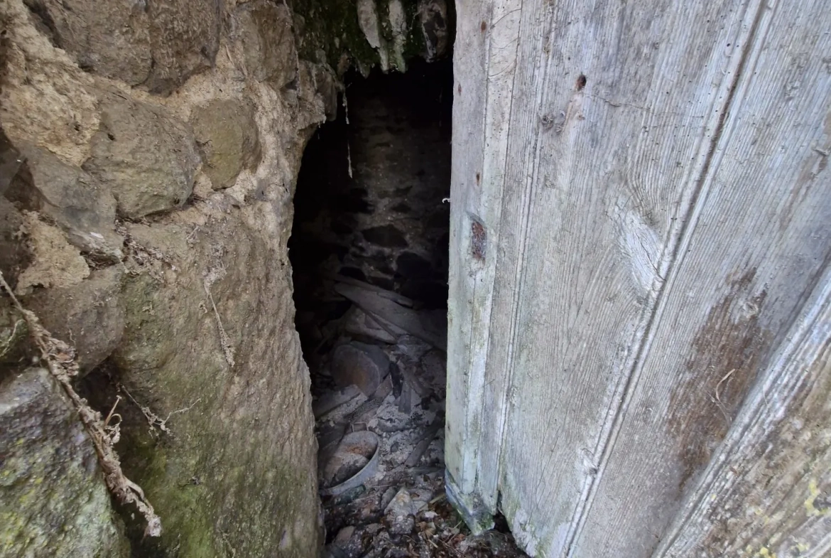 Ferme authentique à Besse-et-Saint-Anastaise avec grand terrain et potentiel de rénovation 