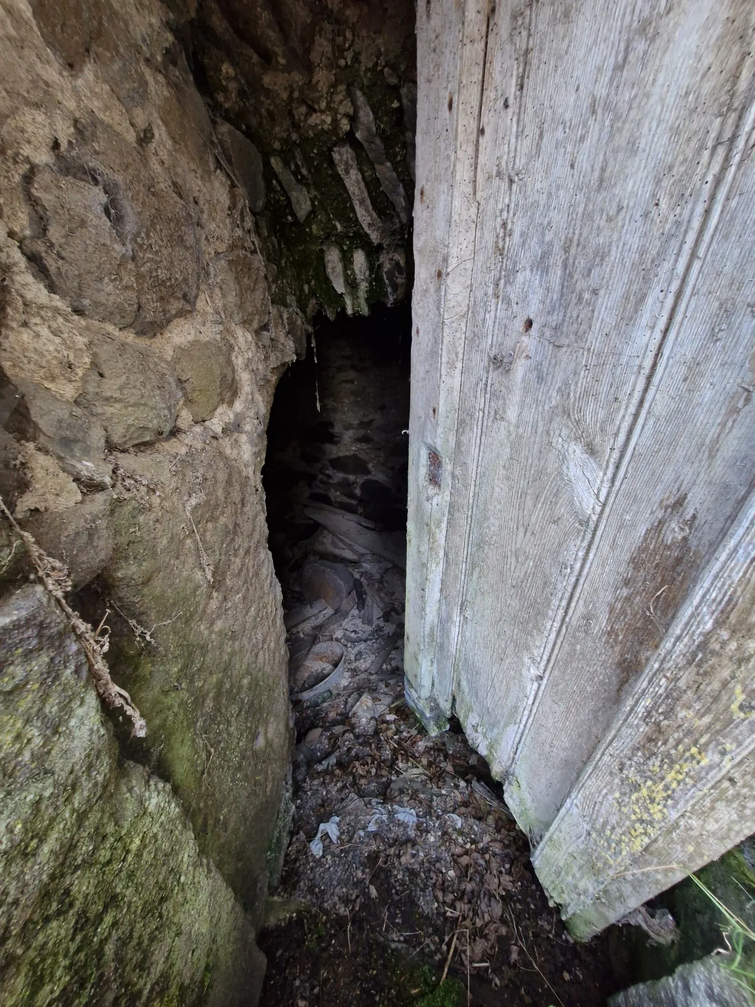 Ferme authentique à Besse-et-Saint-Anastaise avec grand terrain et potentiel de rénovation 