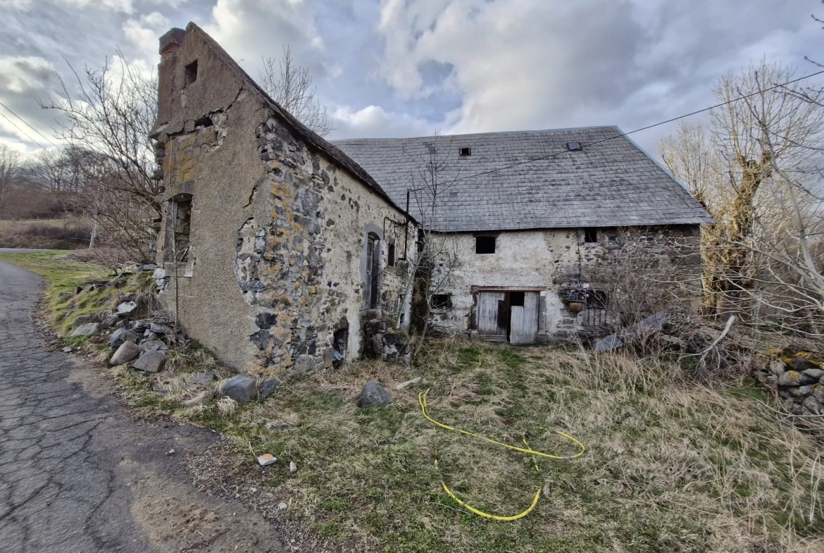 Ferme authentique à Besse-et-Saint-Anastaise avec grand terrain et potentiel de rénovation 