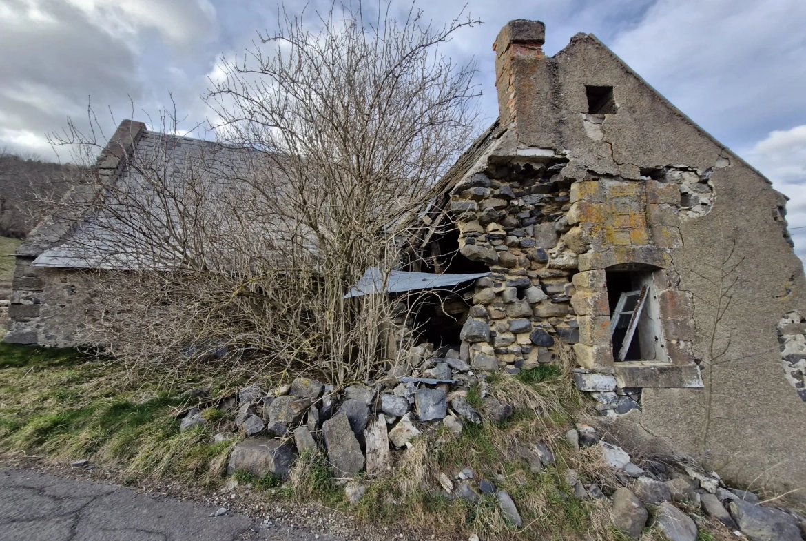 Ferme authentique à Besse-et-Saint-Anastaise avec grand terrain et potentiel de rénovation 