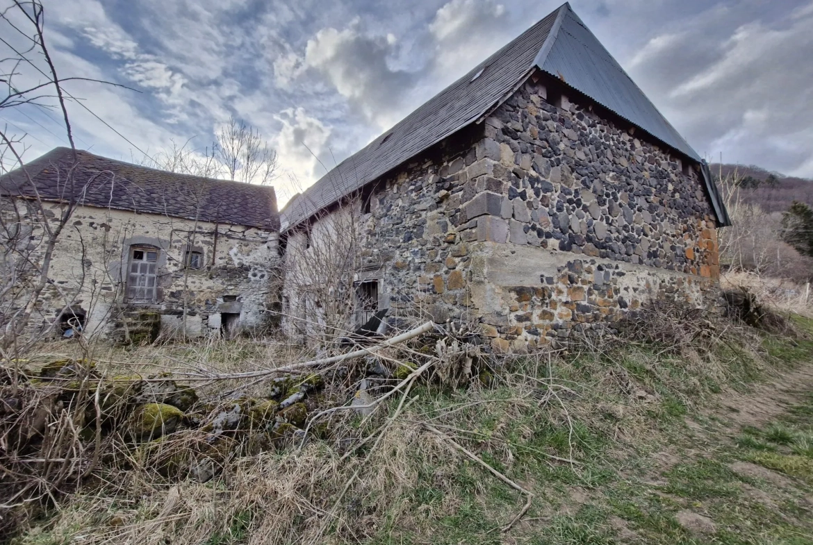 Ferme authentique à Besse-et-Saint-Anastaise avec grand terrain et potentiel de rénovation 