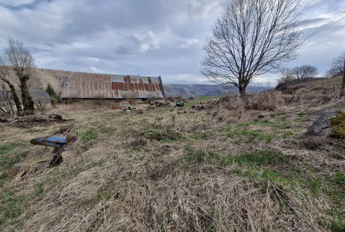 Ferme authentique à Besse-et-Saint-Anastaise avec grand terrain et potentiel de rénovation 