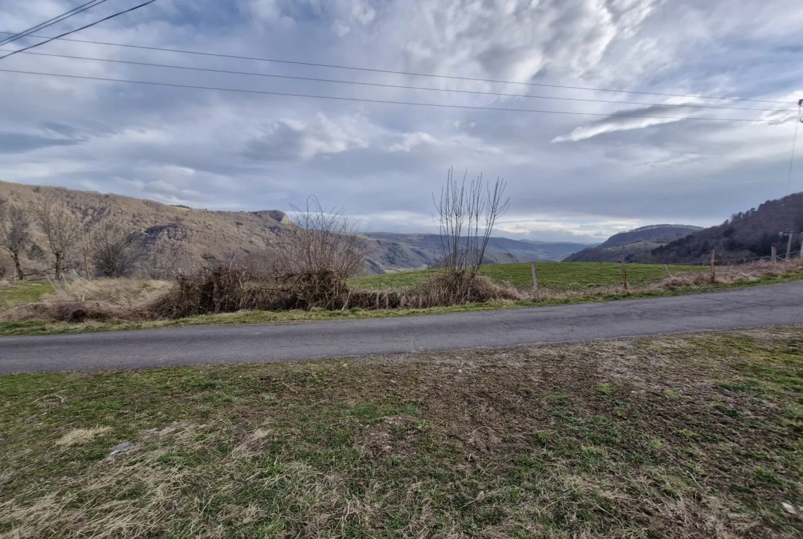 Ferme authentique à Besse-et-Saint-Anastaise avec grand terrain et potentiel de rénovation 