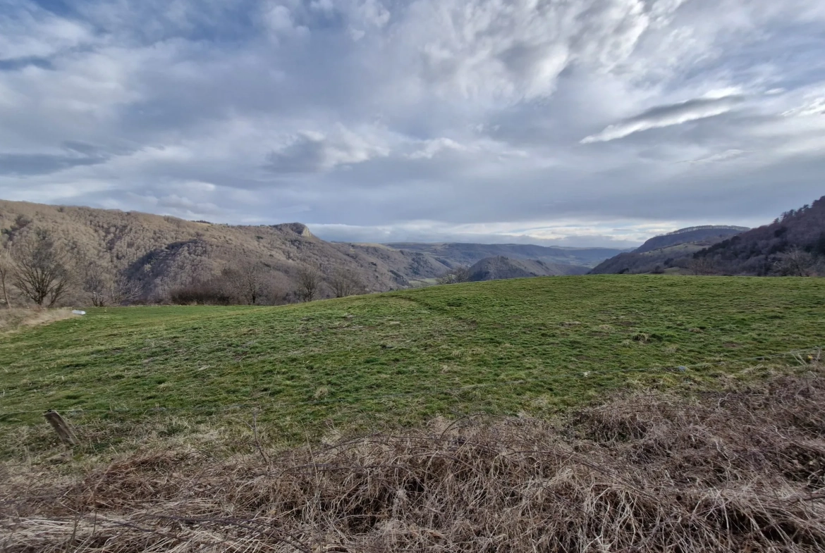 Ferme authentique à Besse-et-Saint-Anastaise avec grand terrain et potentiel de rénovation 
