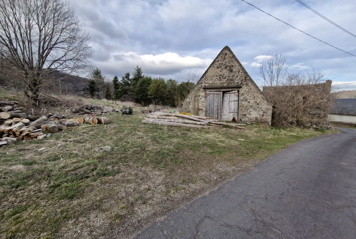 Ferme authentique à Besse-et-Saint-Anastaise avec grand terrain et potentiel de rénovation 