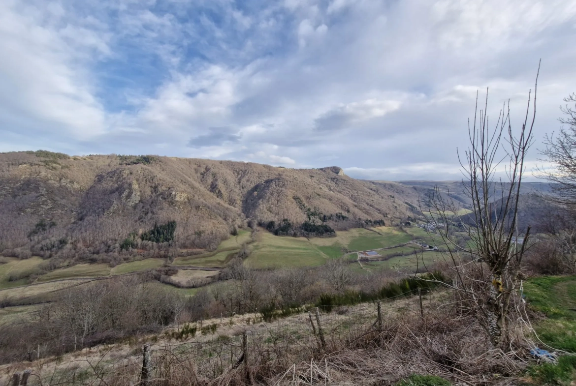 Ferme authentique à Besse-et-Saint-Anastaise avec grand terrain et potentiel de rénovation 
