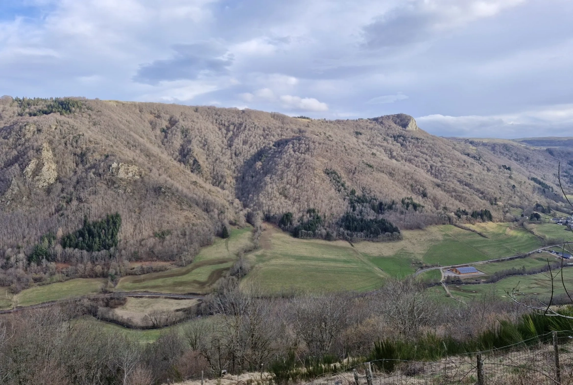 Ferme authentique à Besse-et-Saint-Anastaise avec grand terrain et potentiel de rénovation 