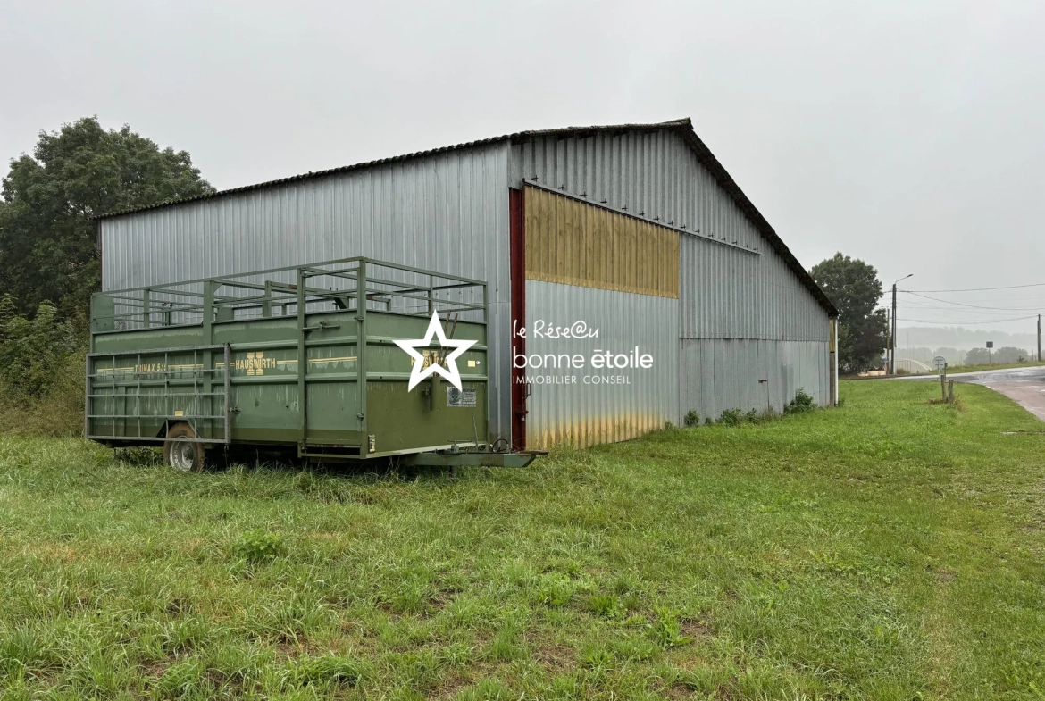 Ferme à rénover de 220 m² avec terrain à Ozières (52700) - Opportunité rare 