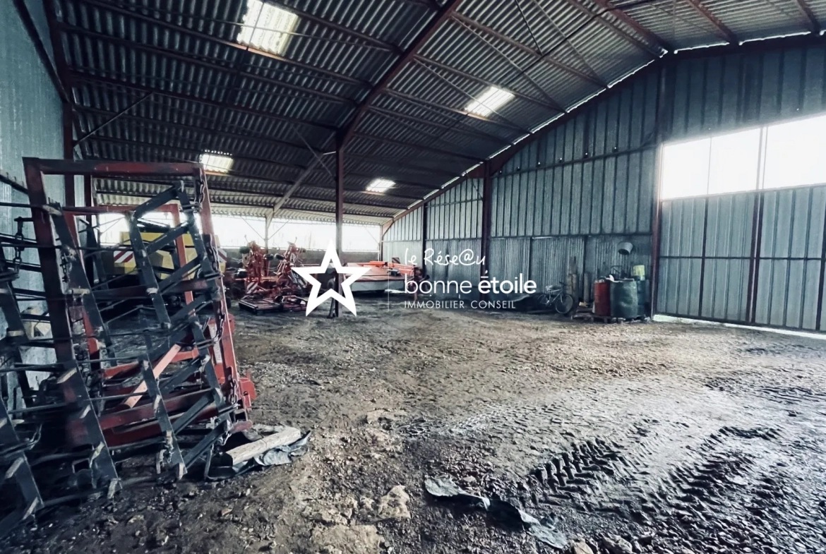 Ferme à rénover de 220 m² avec terrain à Ozières (52700) - Opportunité rare 