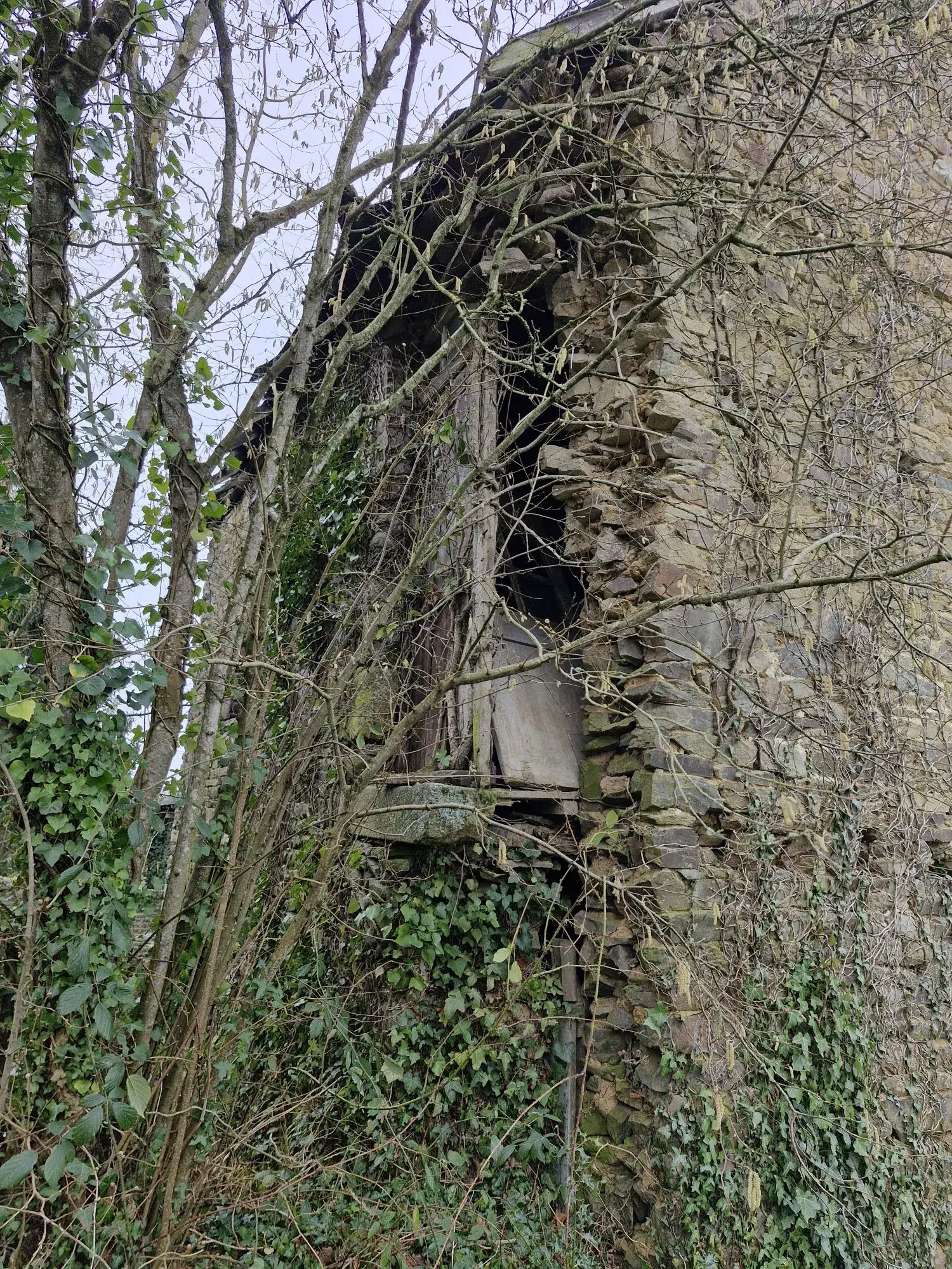 Petite maison à rénover à Caligny (61100) - Charme traditionnel en campagne 