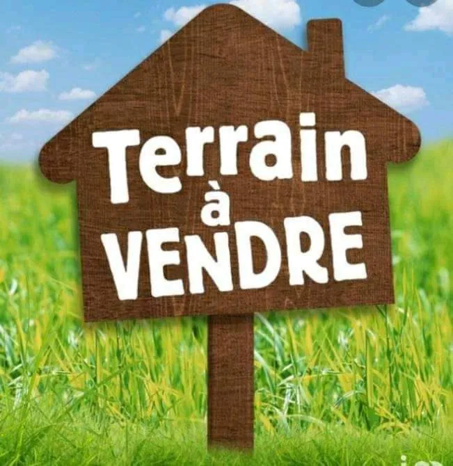 Terrain à vendre à La Ferté-Saint-Aubin : Opportunité pour construction résidentielle 