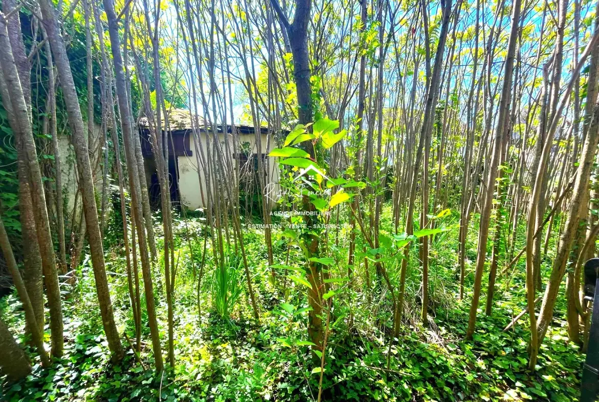 Charmante maison de campagne à La Celle-Guenand avec jardin de 142 m² 