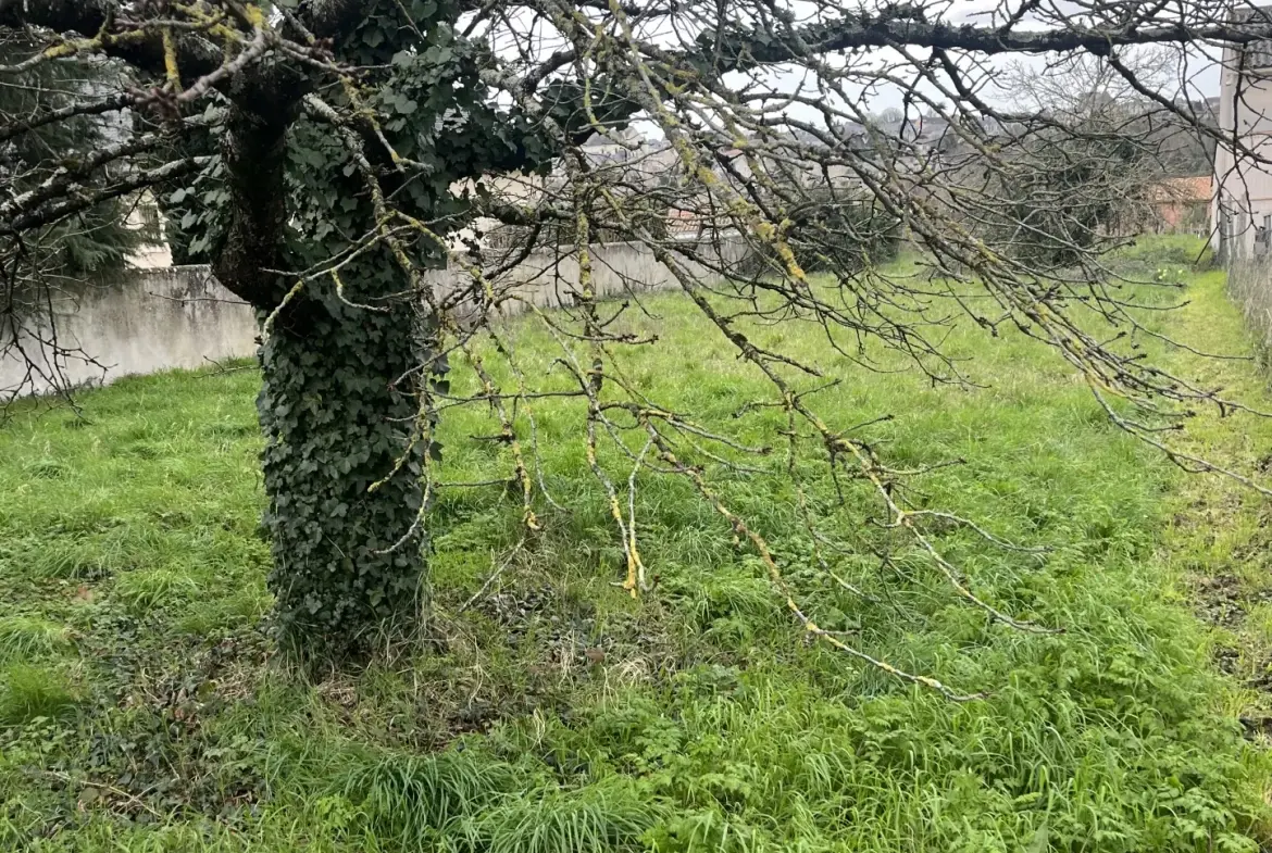 Terrain constructible de 932 m² avec vue sur le château à Saint Jean de Thouars 