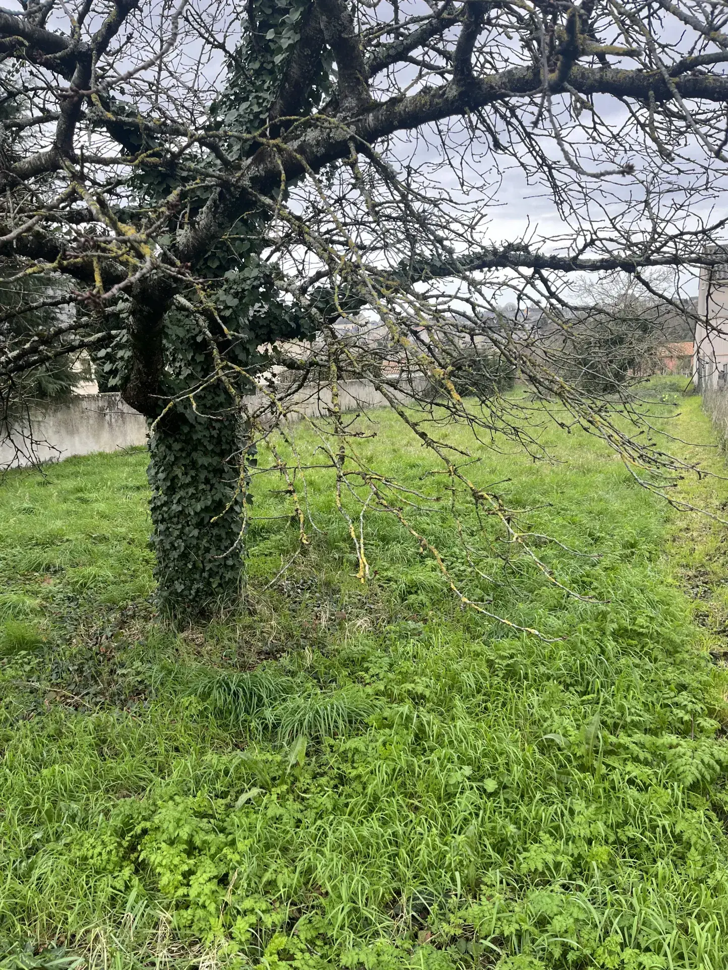 Terrain constructible de 932 m² avec vue sur le château à Saint Jean de Thouars 