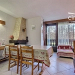 Studio à vendre à Les Carroz d'Arâches, 2 pièces avec balcon et cave