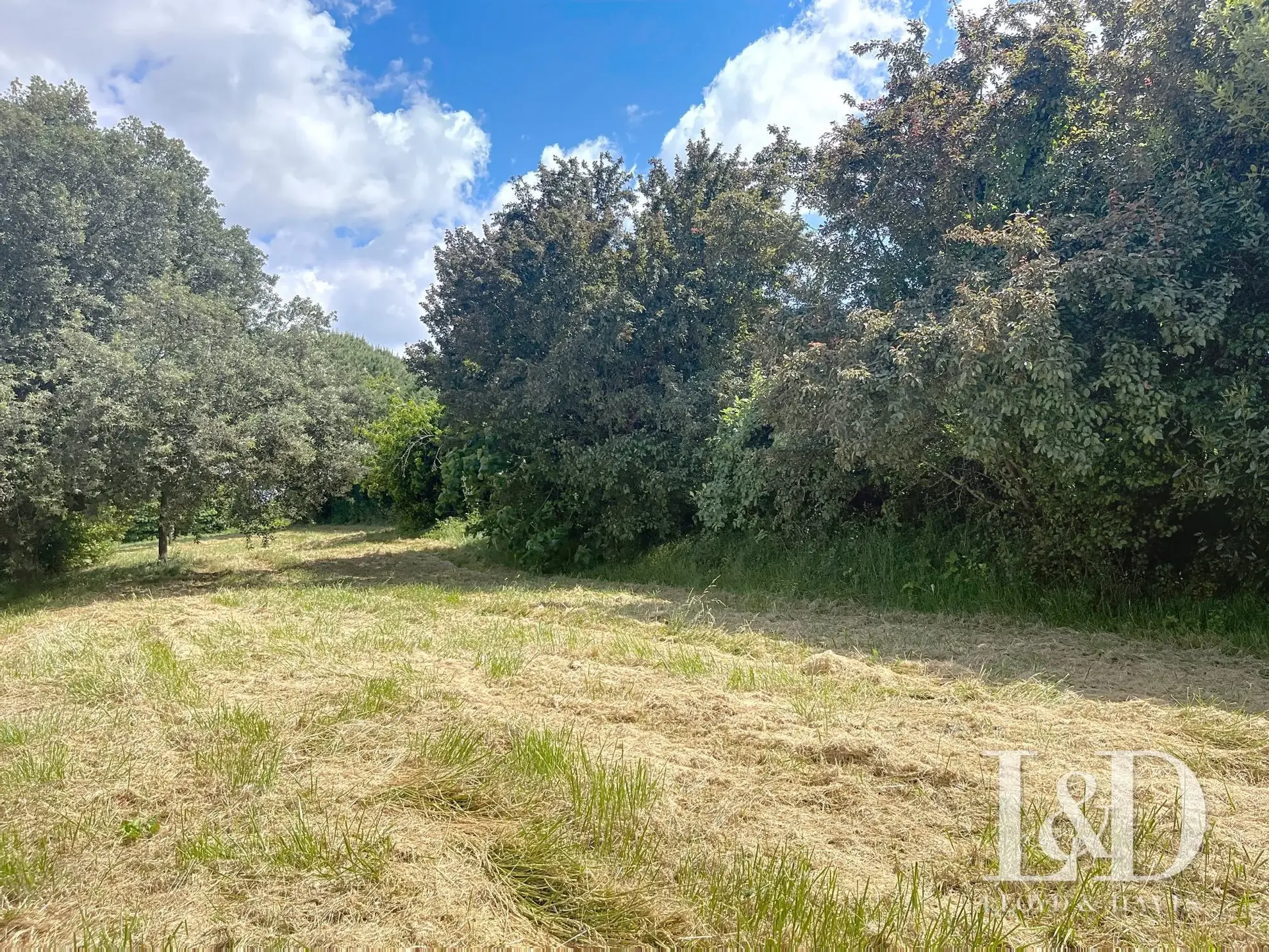 Terrain à vendre à Albertville - Grande superficie et belle vue sur les montagnes 
