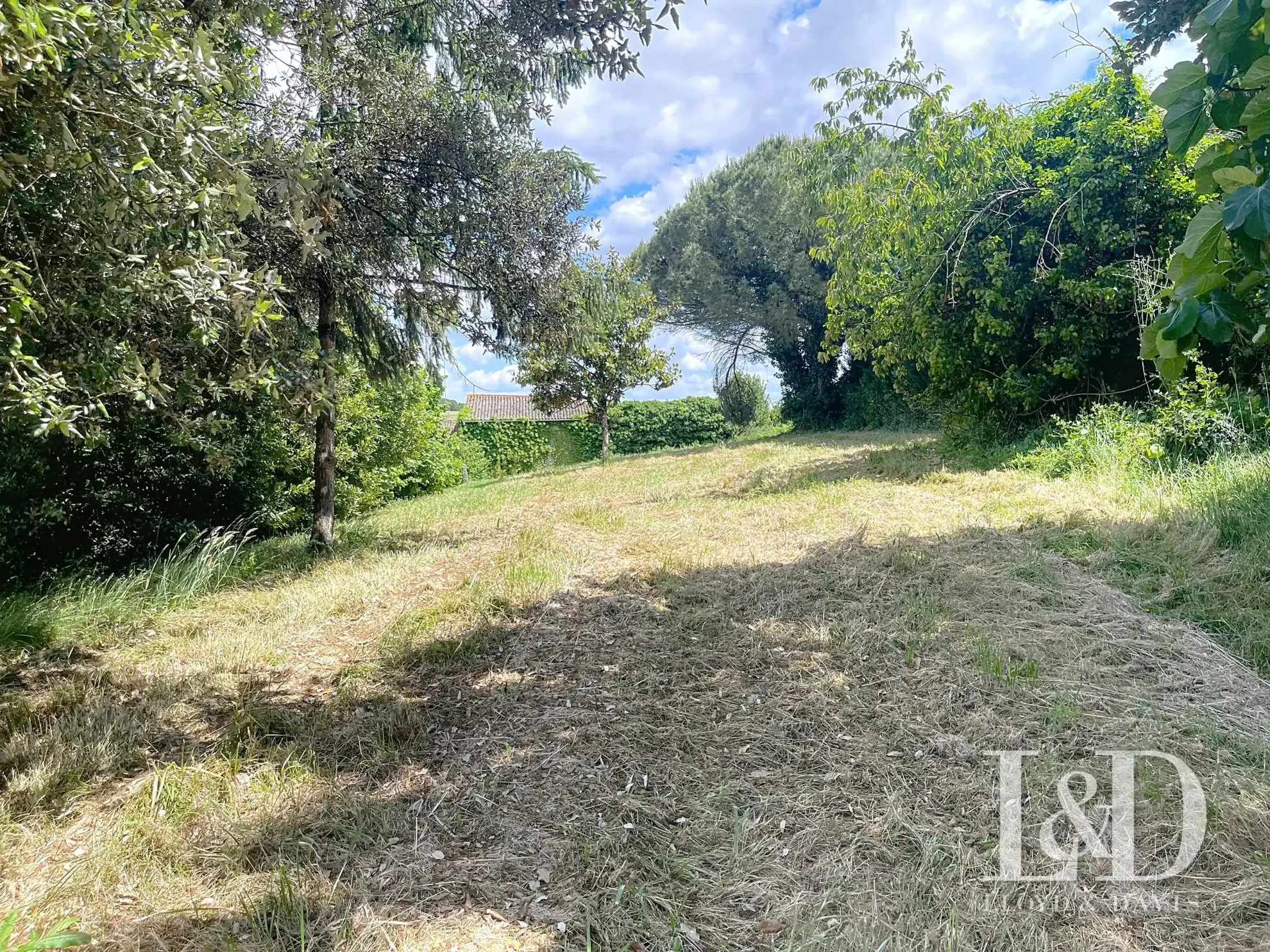 Terrain à vendre à Albertville - Grande superficie et belle vue sur les montagnes 