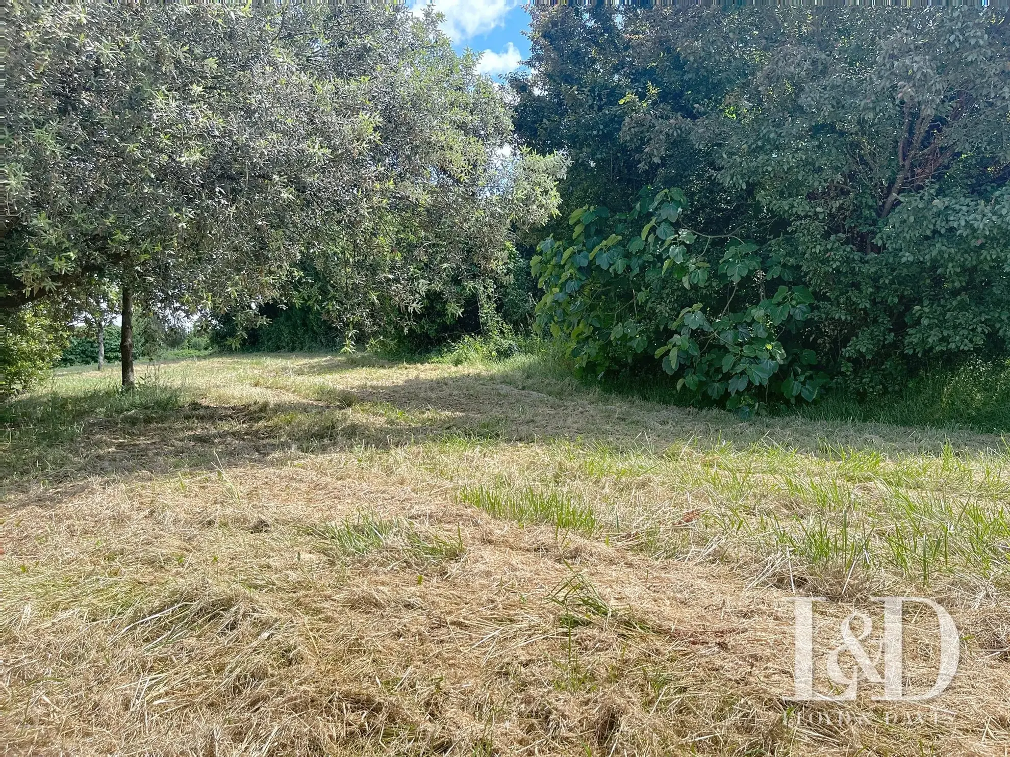 Terrain à vendre à Albertville - Grande superficie et belle vue sur les montagnes 