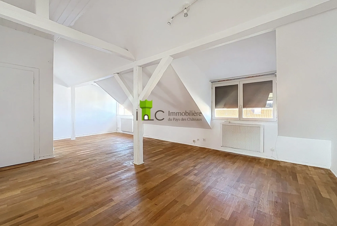Appartement F1 à Strasbourg Cronenbourg avec Cave, dernier étage 