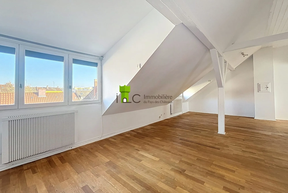 Appartement F1 à Strasbourg Cronenbourg avec Cave, dernier étage 