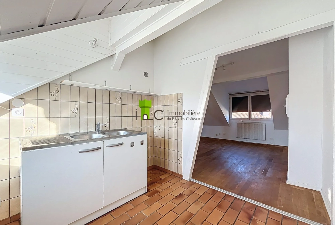 Appartement F1 à Strasbourg Cronenbourg avec Cave, dernier étage 
