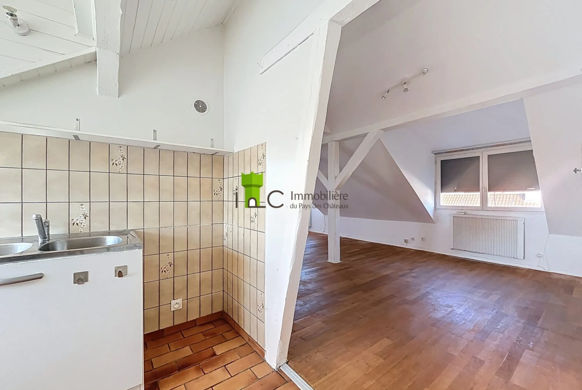 Appartement F1 à Strasbourg Cronenbourg avec Cave, dernier étage 