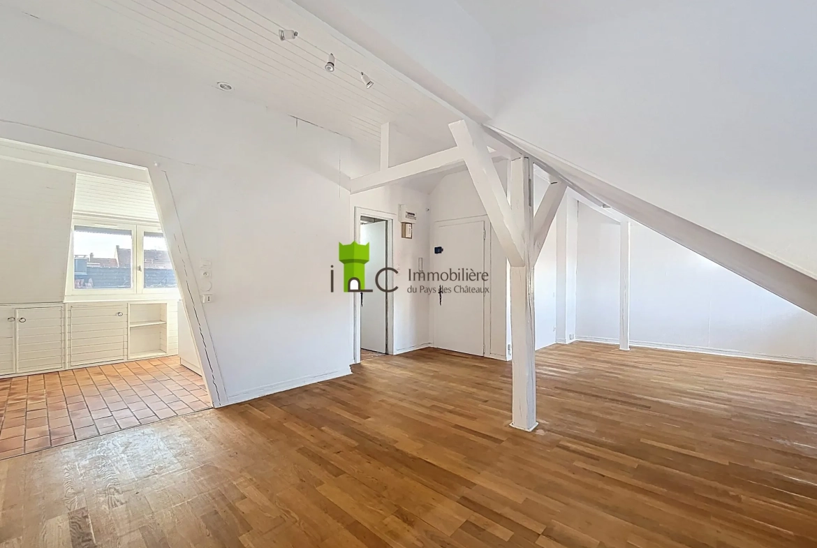 Appartement F1 à Strasbourg Cronenbourg avec Cave, dernier étage 