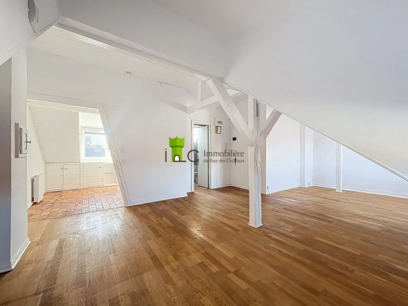 Appartement F1 à Strasbourg Cronenbourg avec Cave, dernier étage