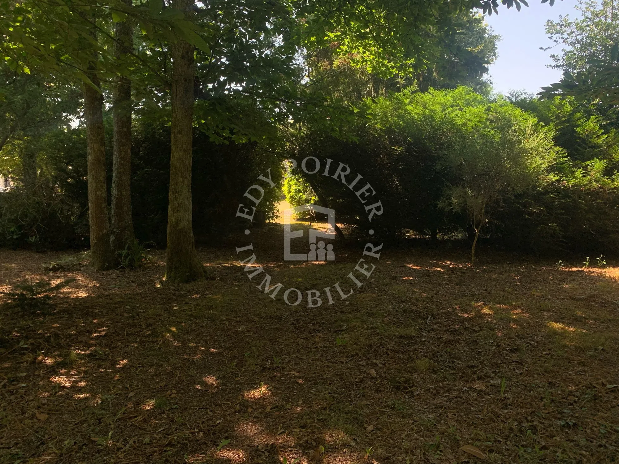 Terrain à bâtir de 1233 m² à Avensan – Cadre naturel et calme 