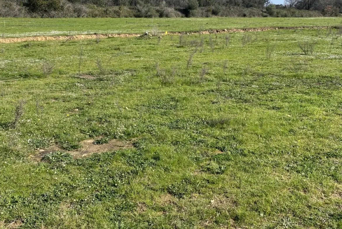 Terrain constructible de 902 m² à Prunelli di Fiumorbo, proche de la plage 