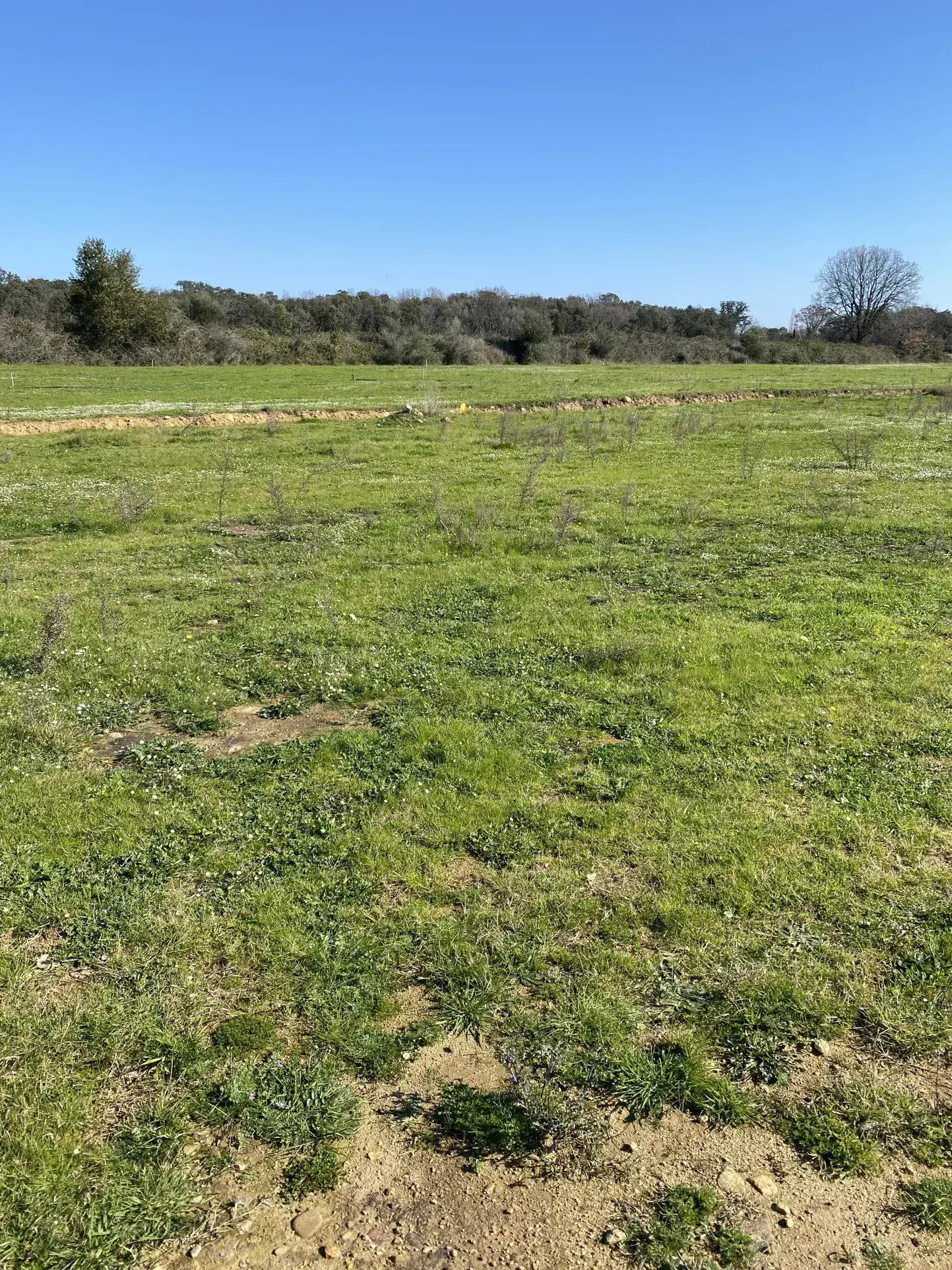 Terrain constructible de 902 m² à Prunelli di Fiumorbo, proche de la plage 